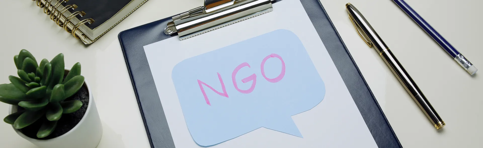 Importance of NGO